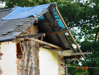 consultancy from forest edge surveyors